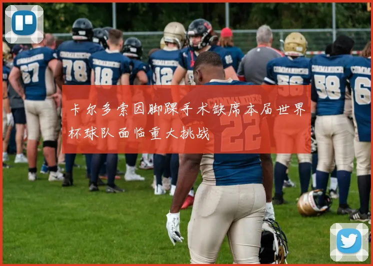 卡尔多索因脚踝手术缺席本届世界杯球队面临重大挑战