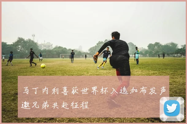 马丁内利喜获世界杯入选加布发声邀兄弟共赴征程